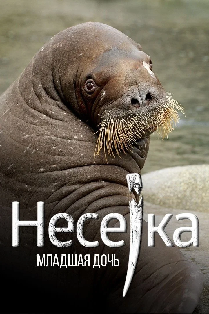 Постер фильма Несейка. Младшая дочь