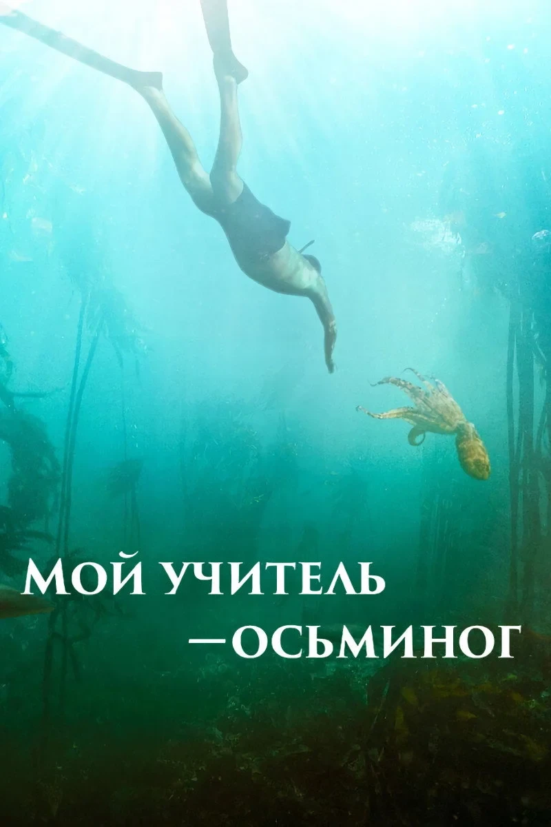 Постер фильма Мой учитель – осьминог