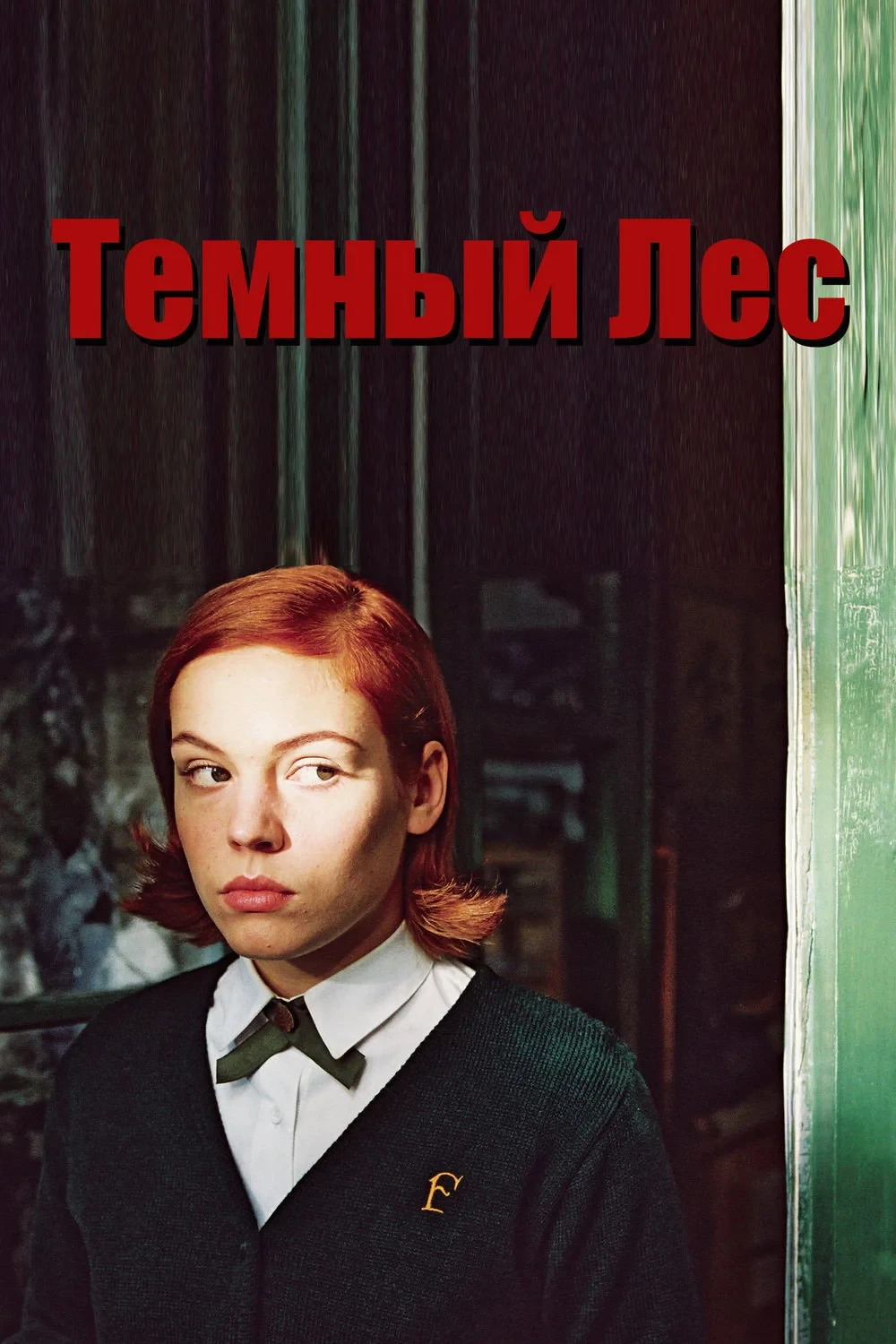Постер фильма Темный лес