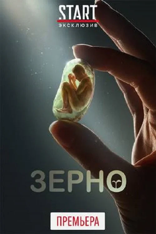 Постер фильма Зерно