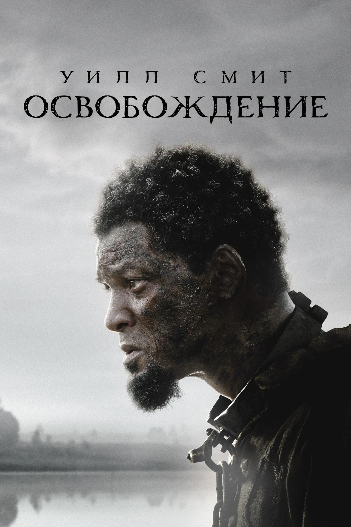 Постер фильма Освобождение
