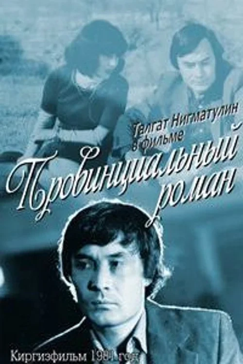 Постер фильма Провинциальный роман