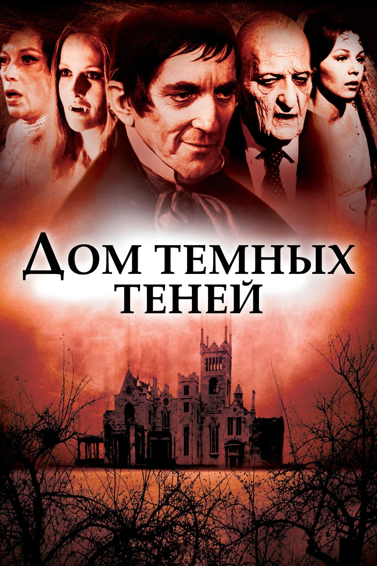 Постер фильма Дом темных теней