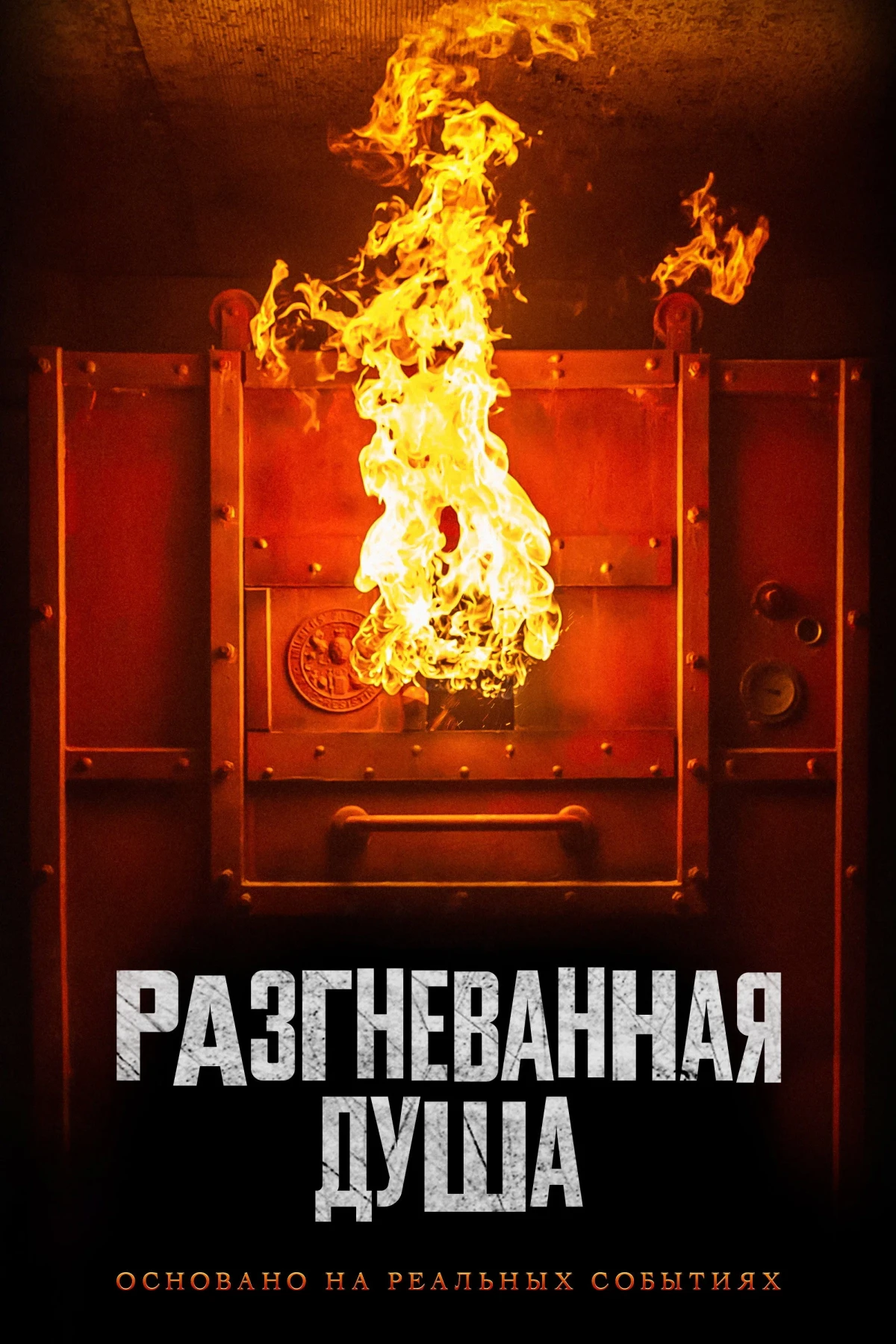 Постер фильма Разгневанная душа