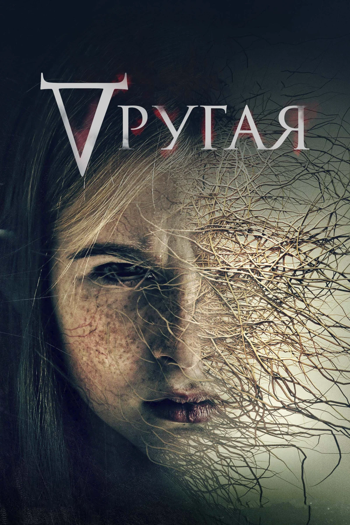 Постер фильма Другая