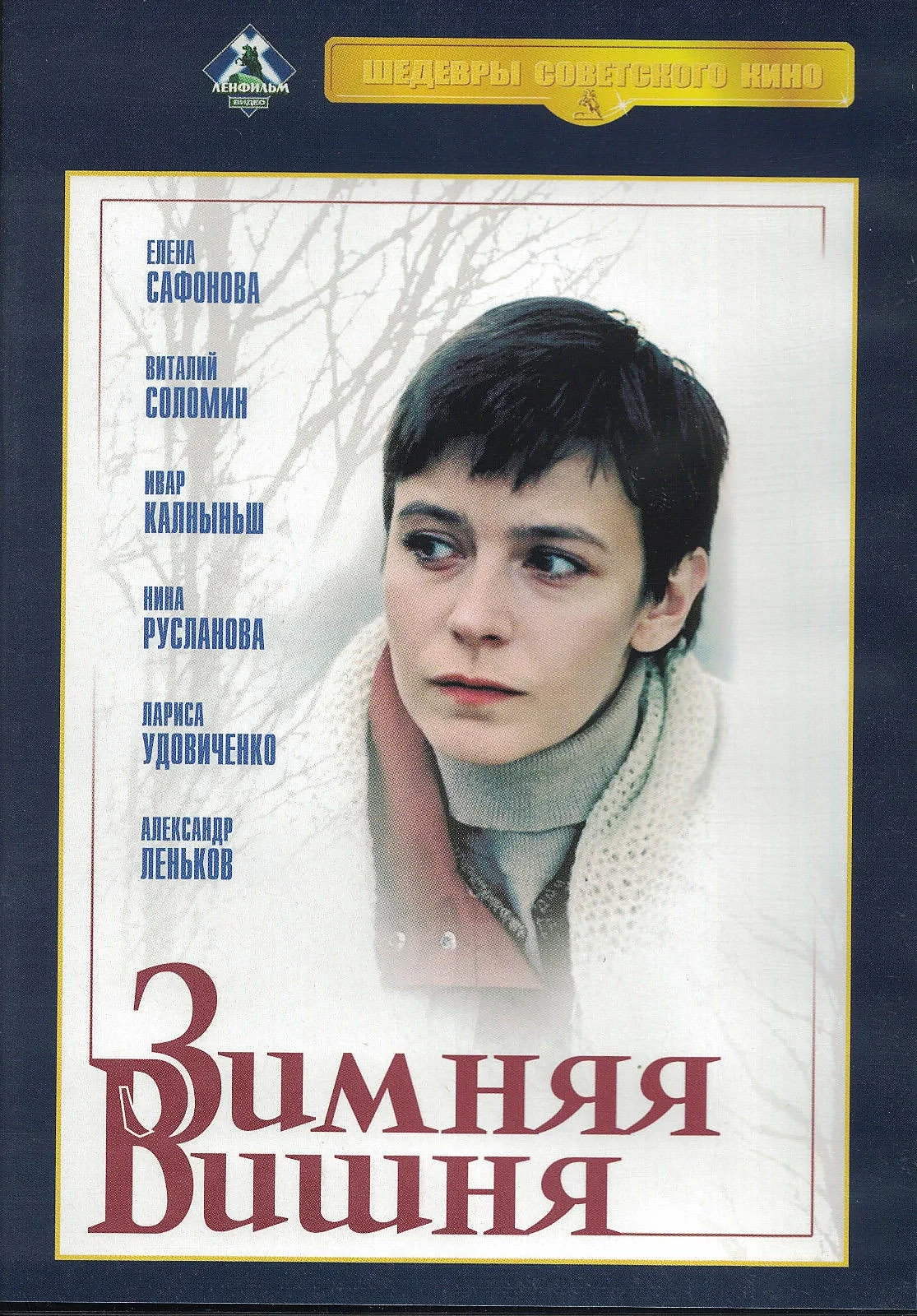 Постер фильма Зимняя вишня