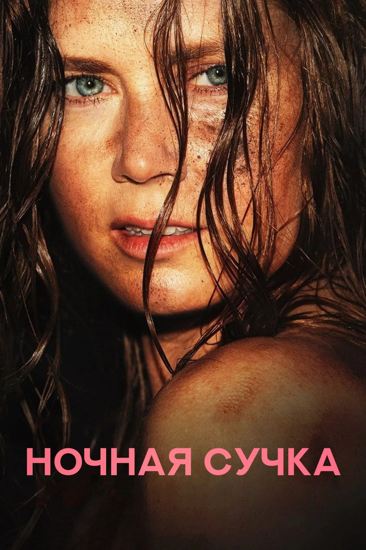 Постер фильма Ночная сучка