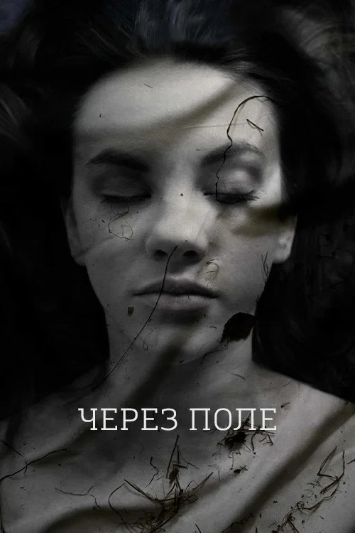 Постер фильма Через поле