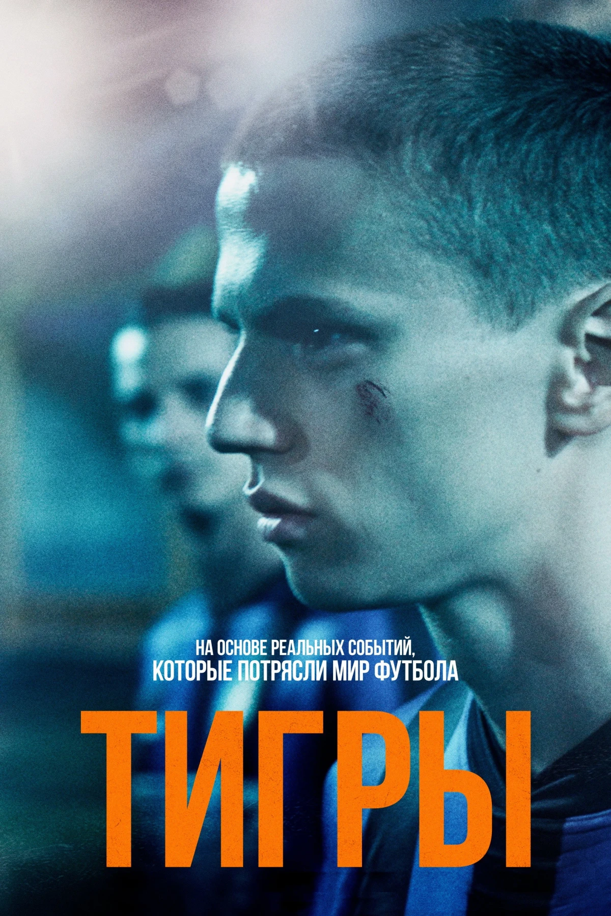 Постер фильма Тигры