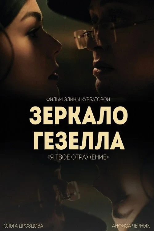 Постер фильма Зеркало Гезелла