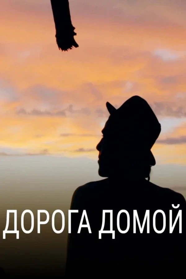 Постер фильма Дорога домой