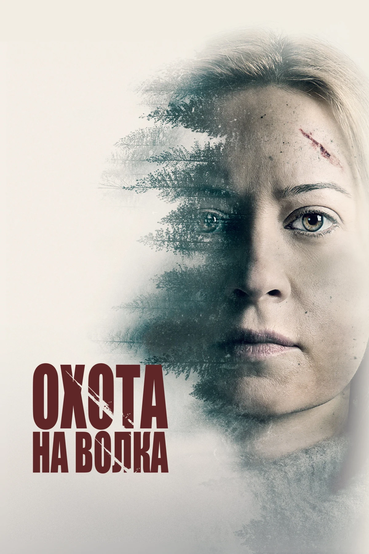 Постер фильма Охота на волка