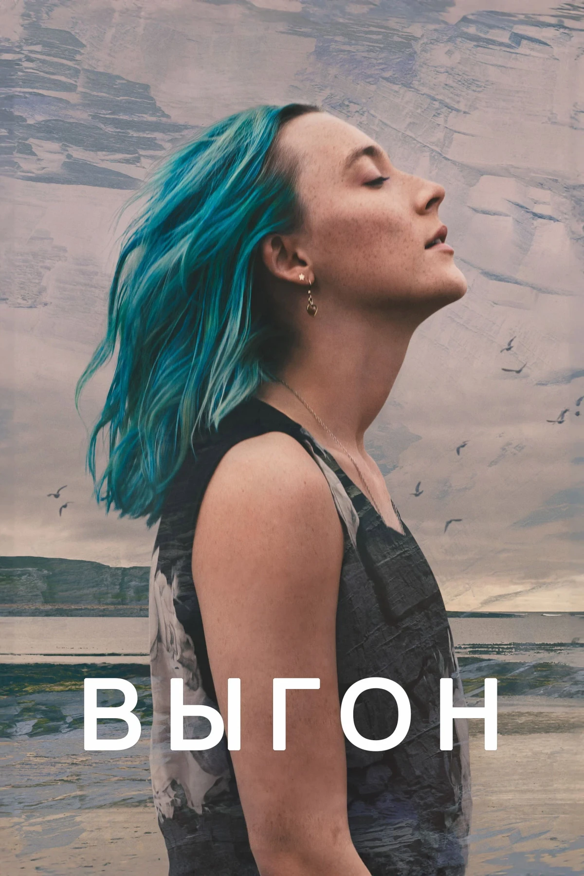 Постер фильма Выгон