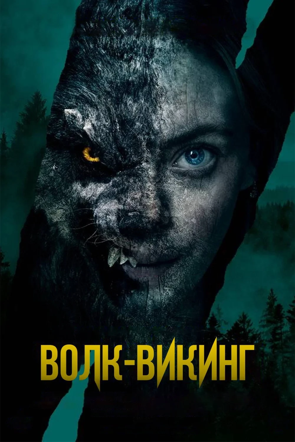 Постер фильма Волк-викинг