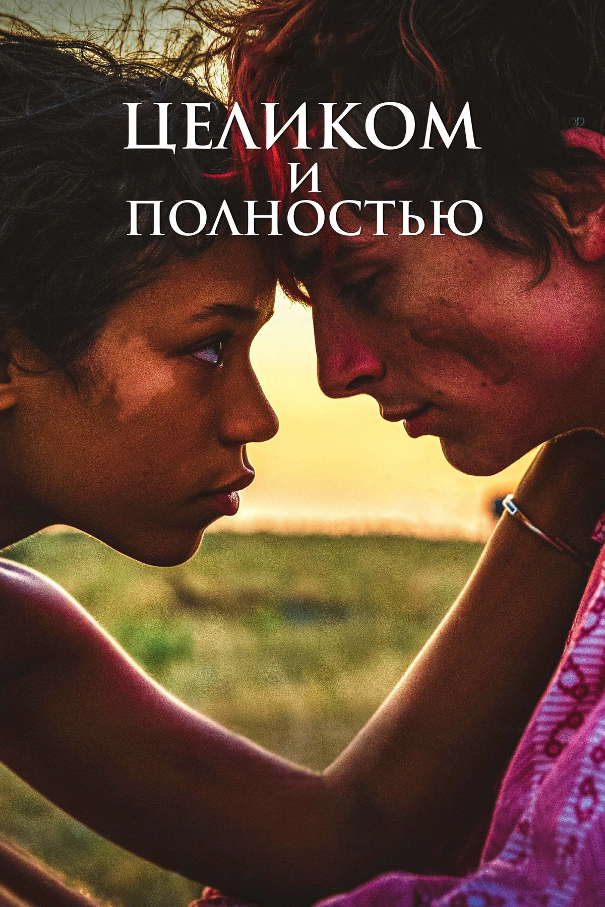 Постер фильма Целиком и полностью
