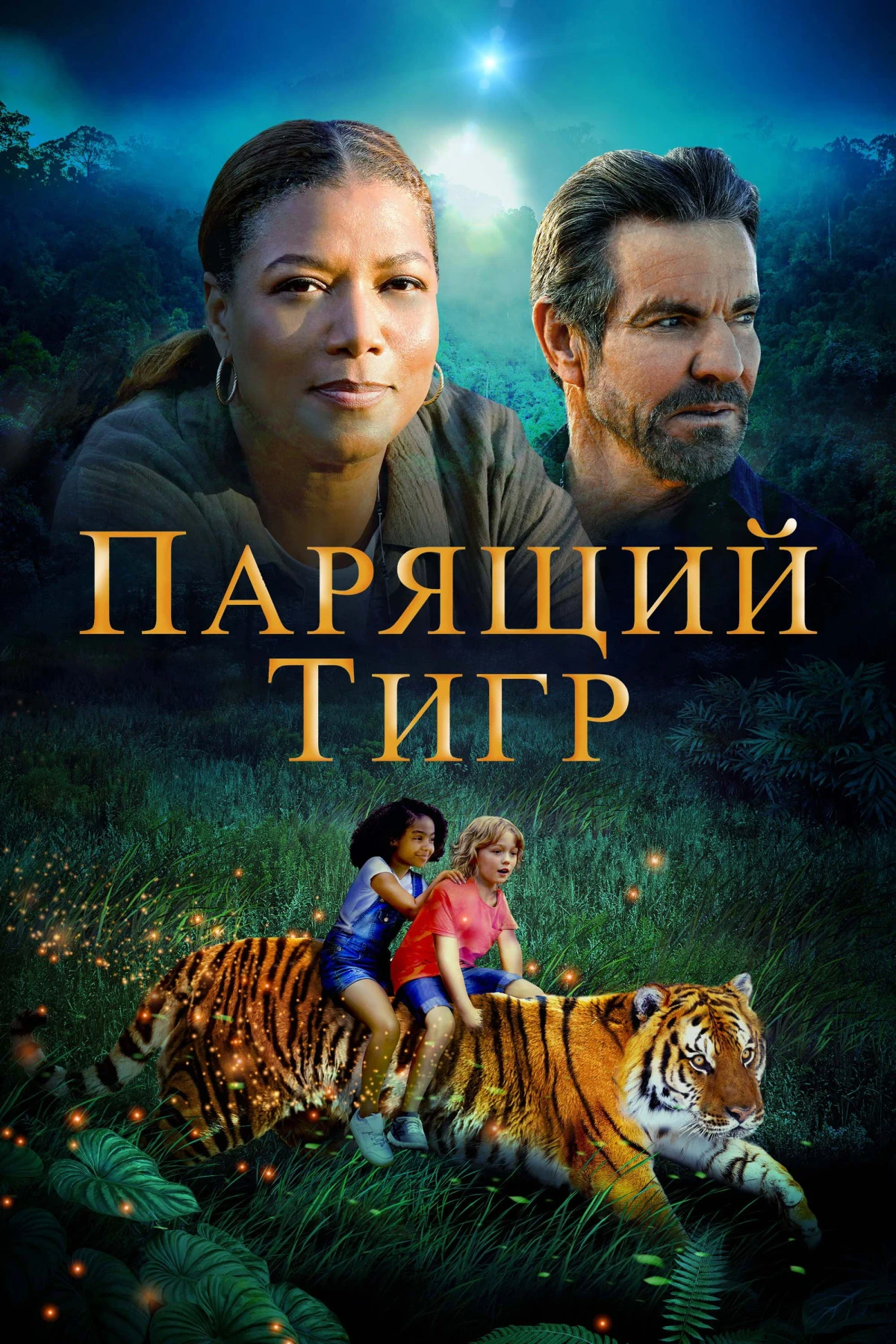 Постер фильма Парящий тигр