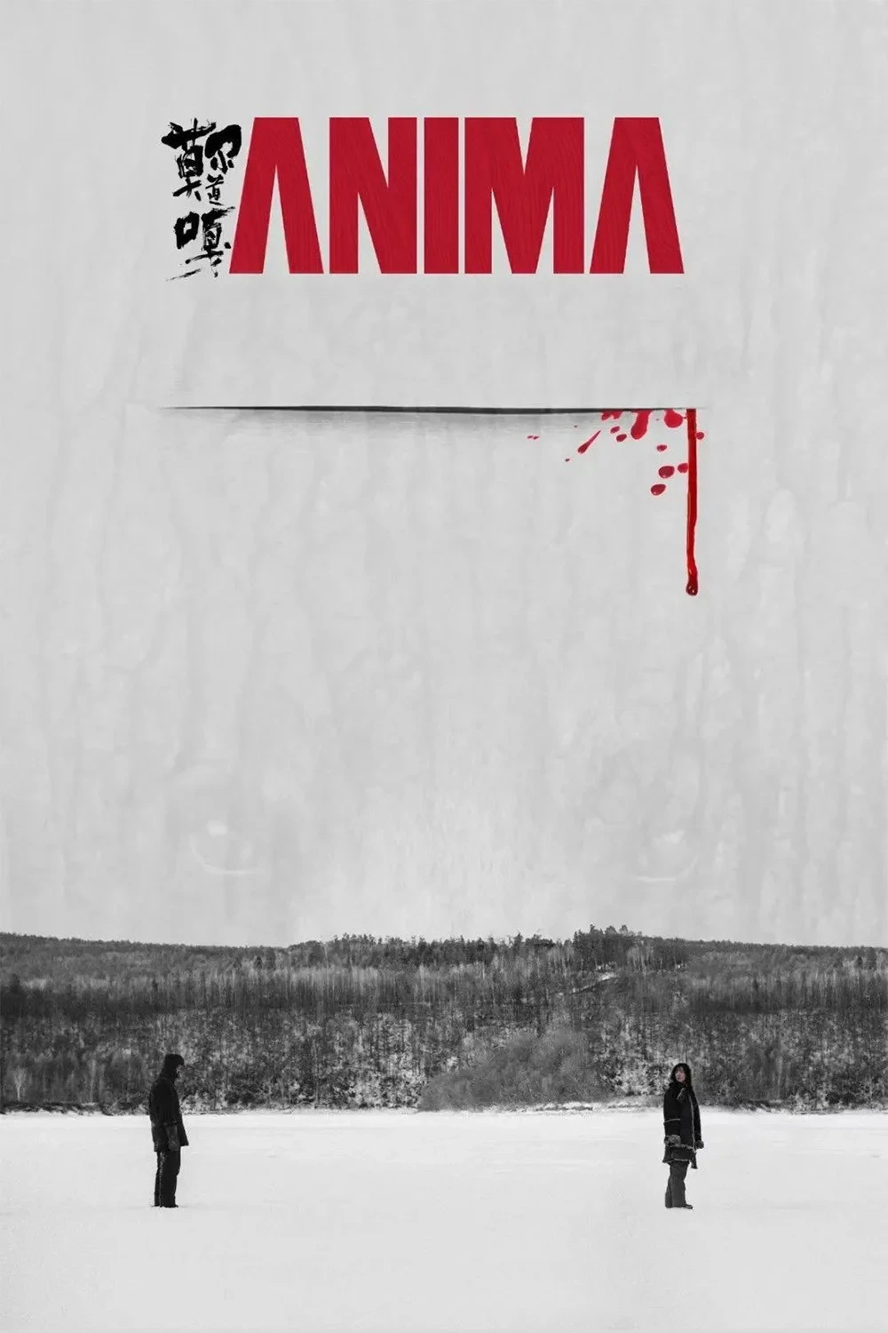 Постер фильма Анима