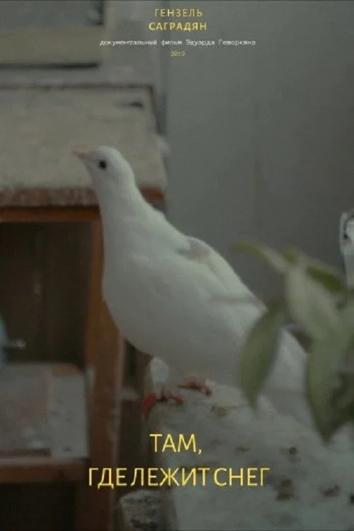 Постер фильма Там, где лежит снег