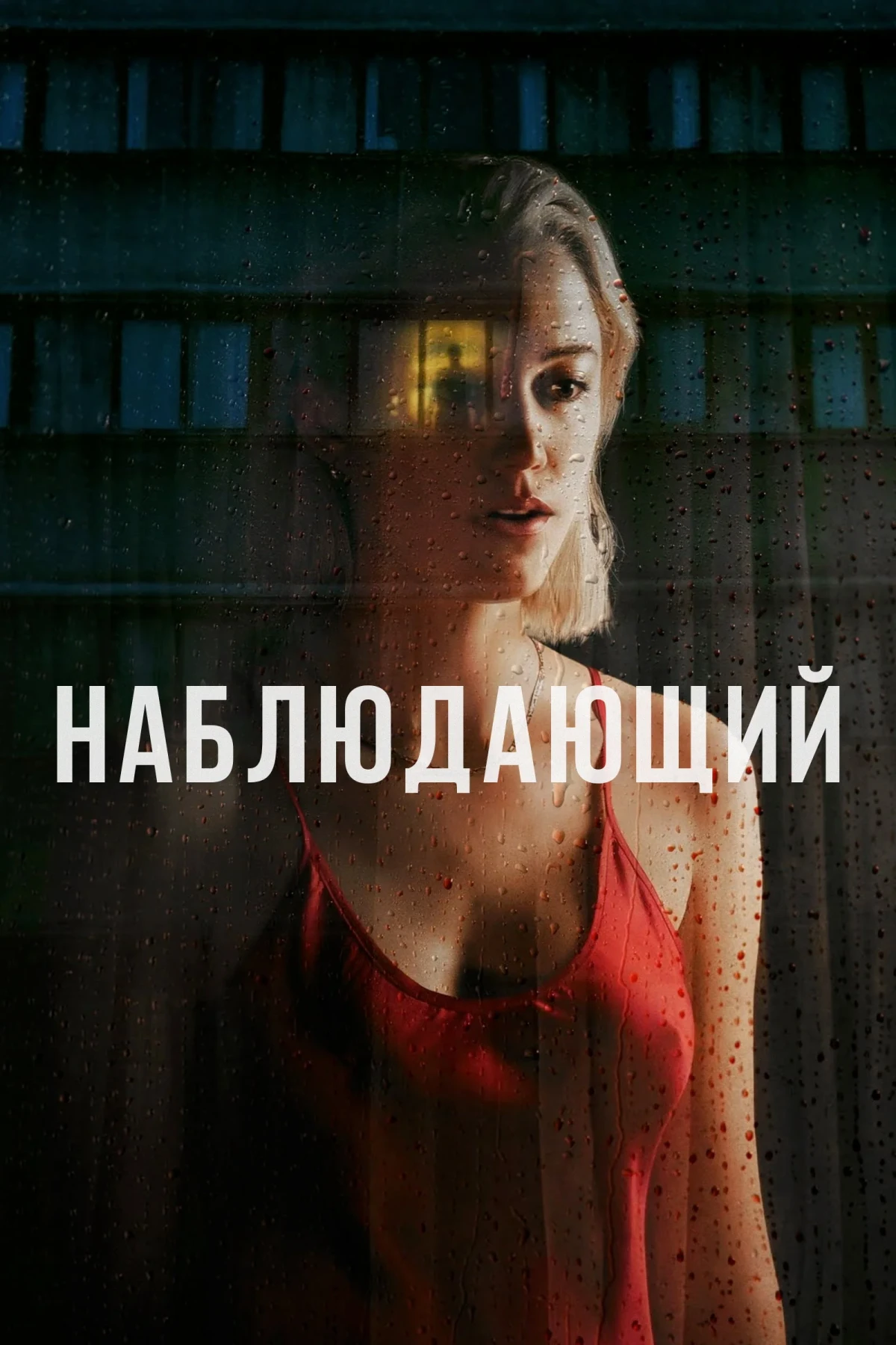 Постер фильма Наблюдающий