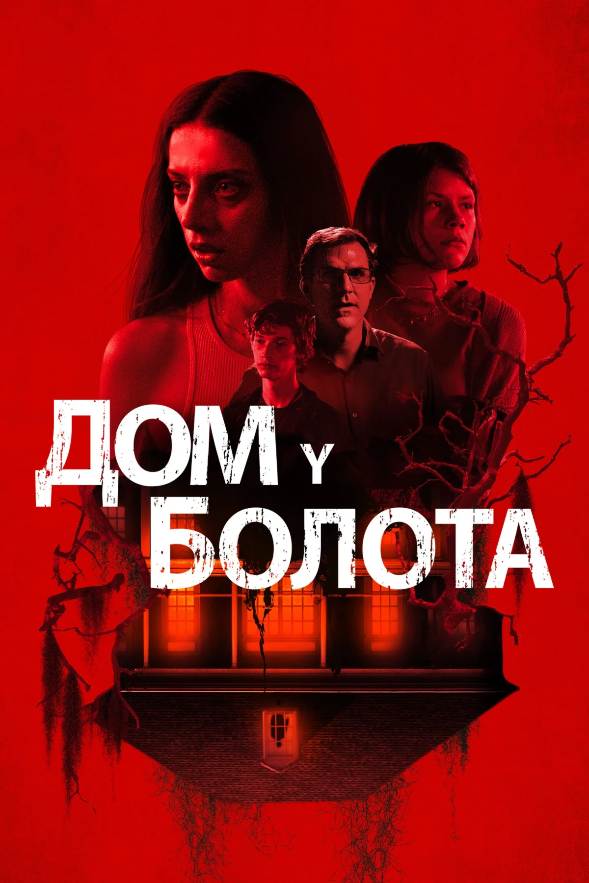 Постер фильма Дом у болота