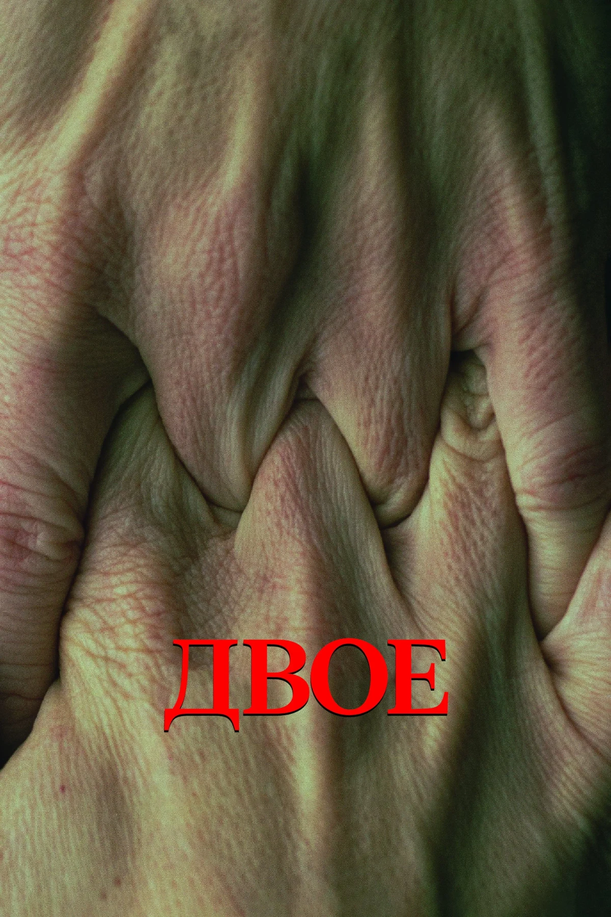 Постер фильма Двое