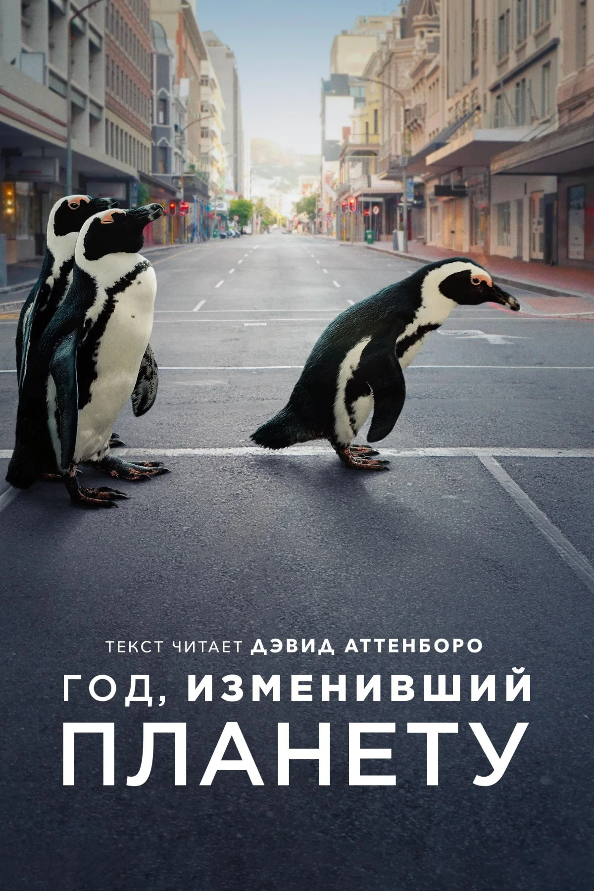 Постер фильма Год, изменивший планету