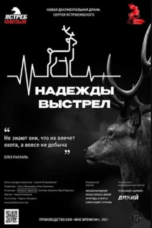Постер фильма Надежды выстрел