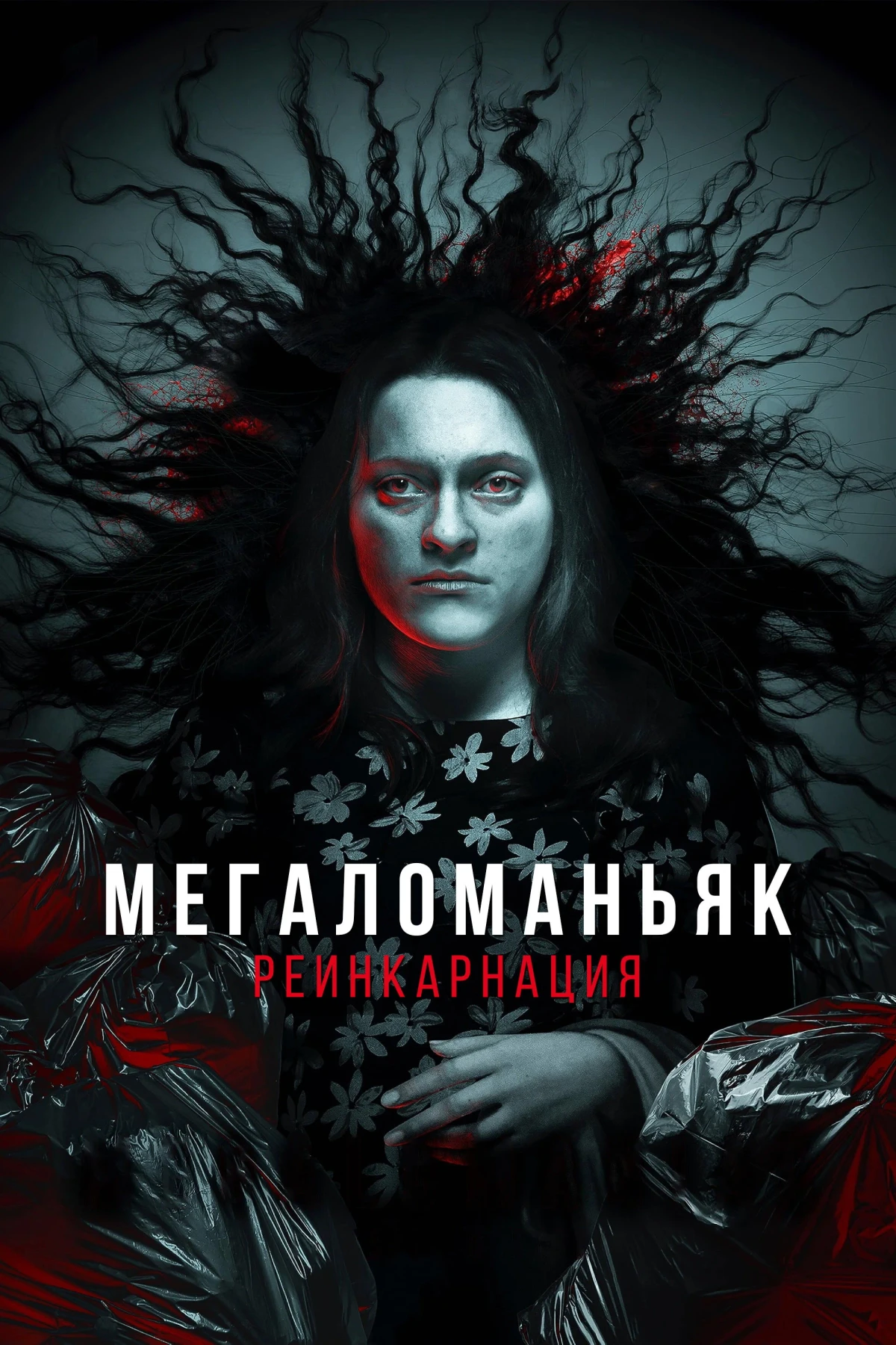 Постер фильма Мегаломаньяк. Реинкарнация