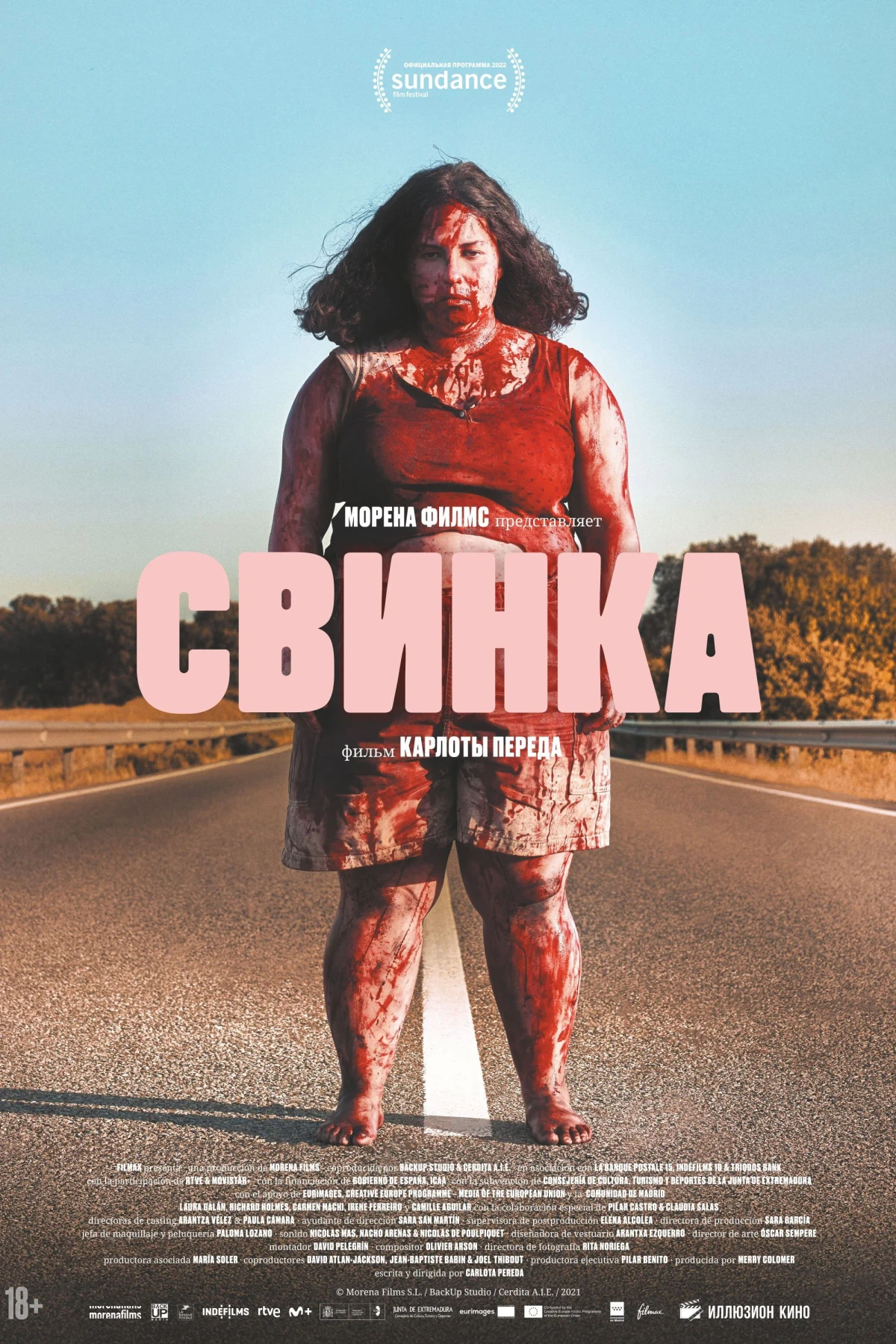 Постер фильма Свинка