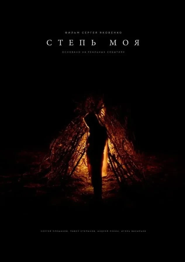 Постер фильма Степь моя