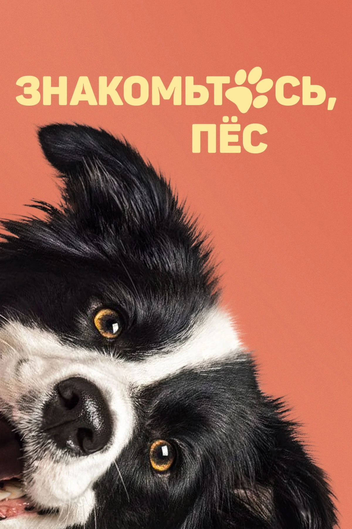 Постер фильма Знакомьтесь, пёс