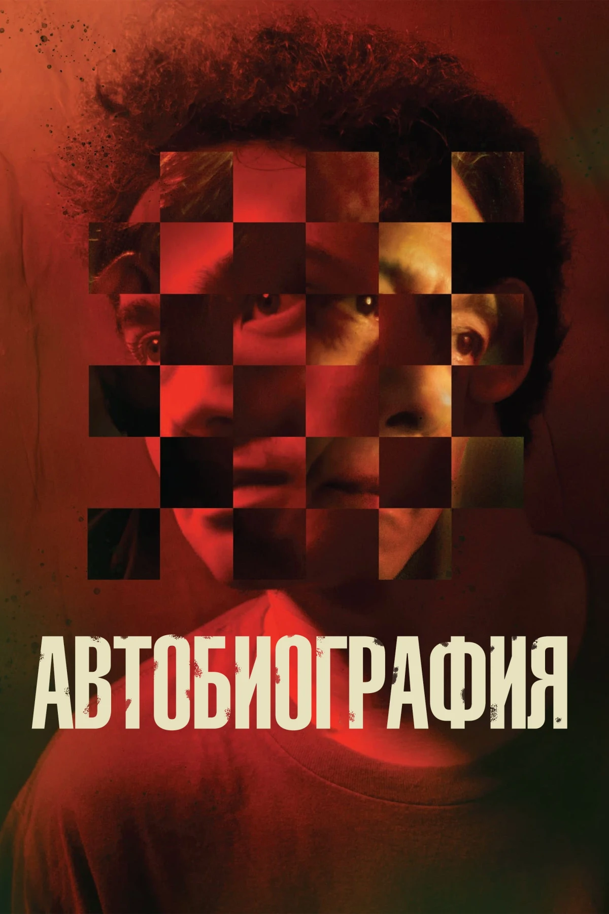 Постер фильма Автобиография