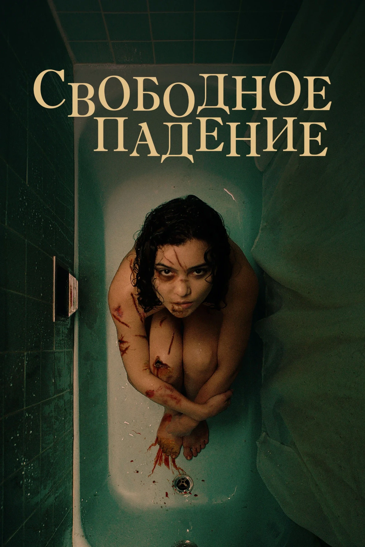 Постер фильма Свободное падение