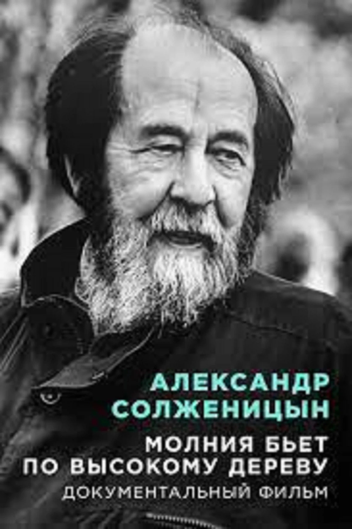 Постер фильма Молния бьет по высокому дереву
