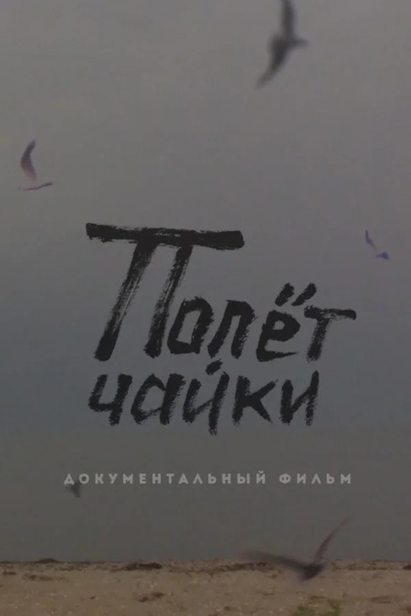 Постер фильма Полёт чайки