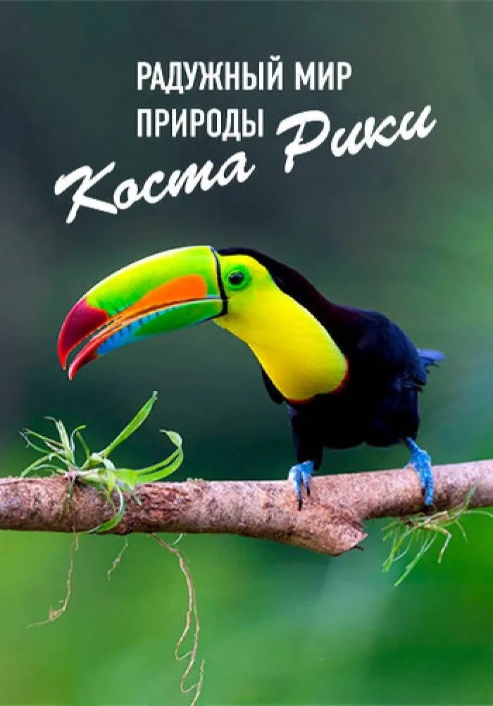 Постер фильма Радужный мир природы Коста-Рики