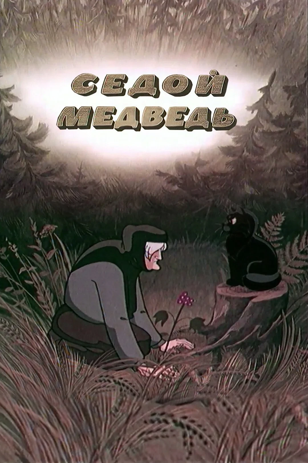 Постер фильма Седой медведь