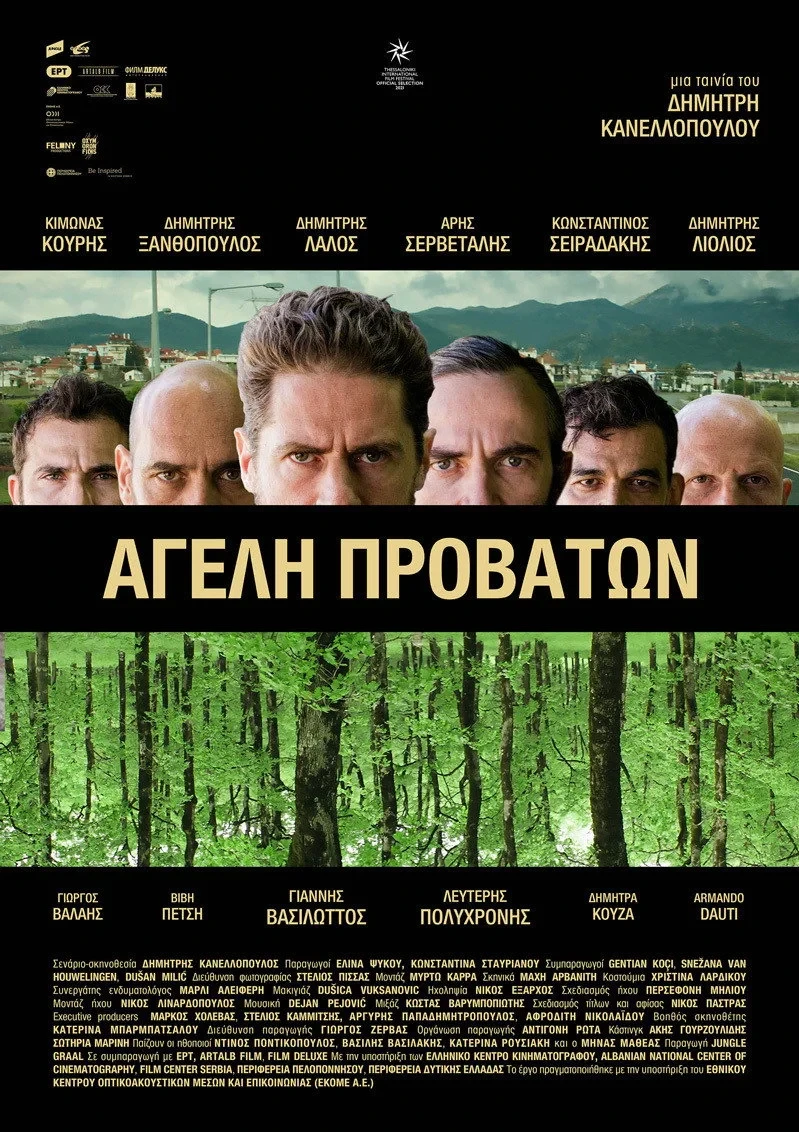 Постер фильма Овечья стая