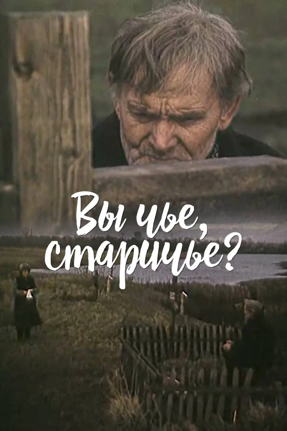 Постер фильма Вы чье, старичье?