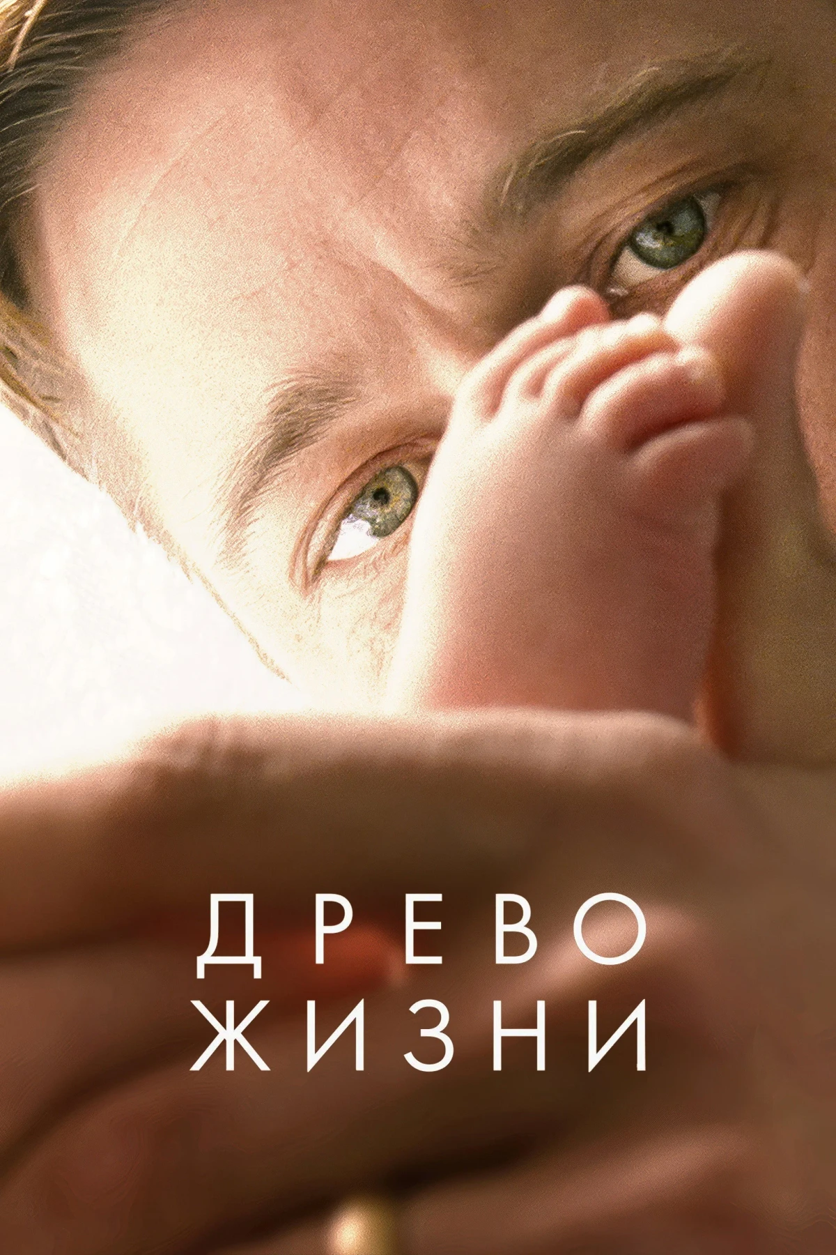 Постер фильма Древо жизни