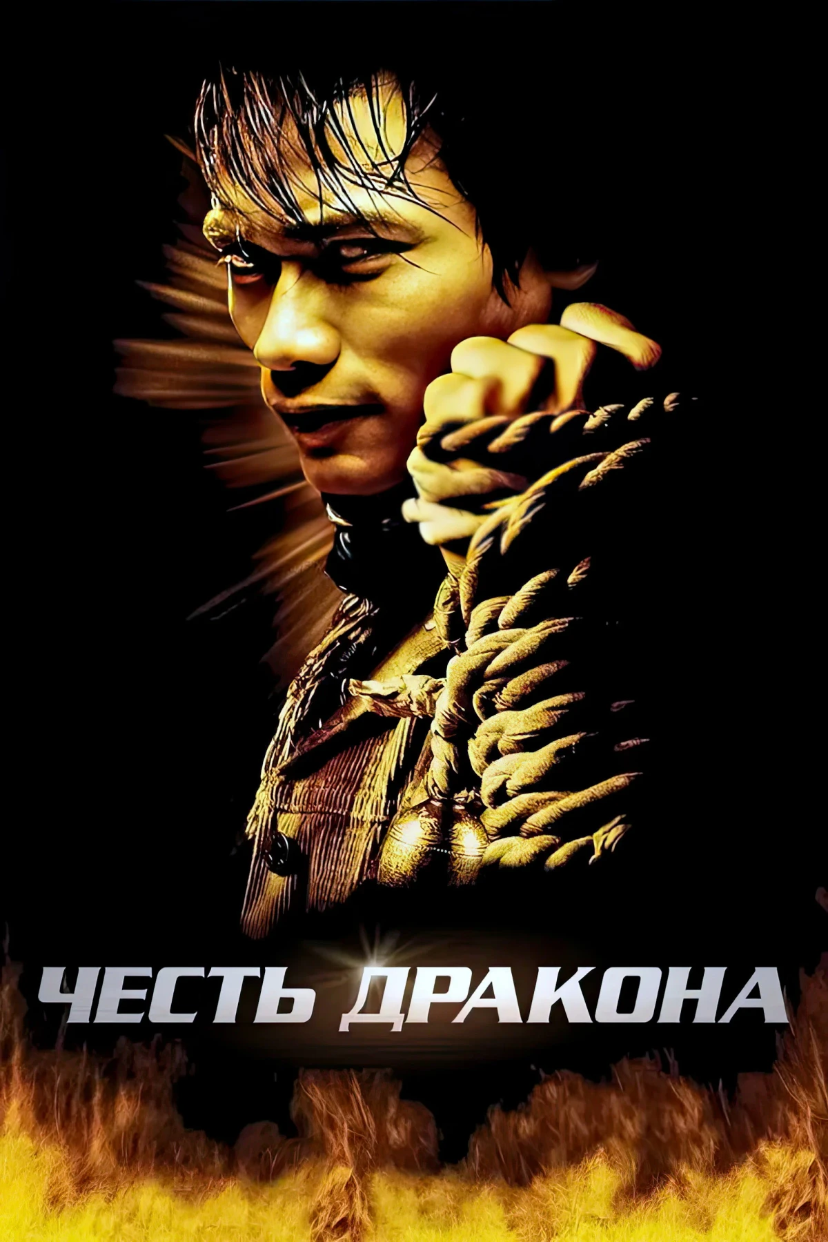 Постер фильма Честь дракона