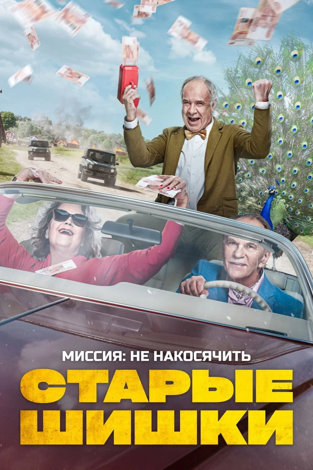 Постер фильма Старые шишки