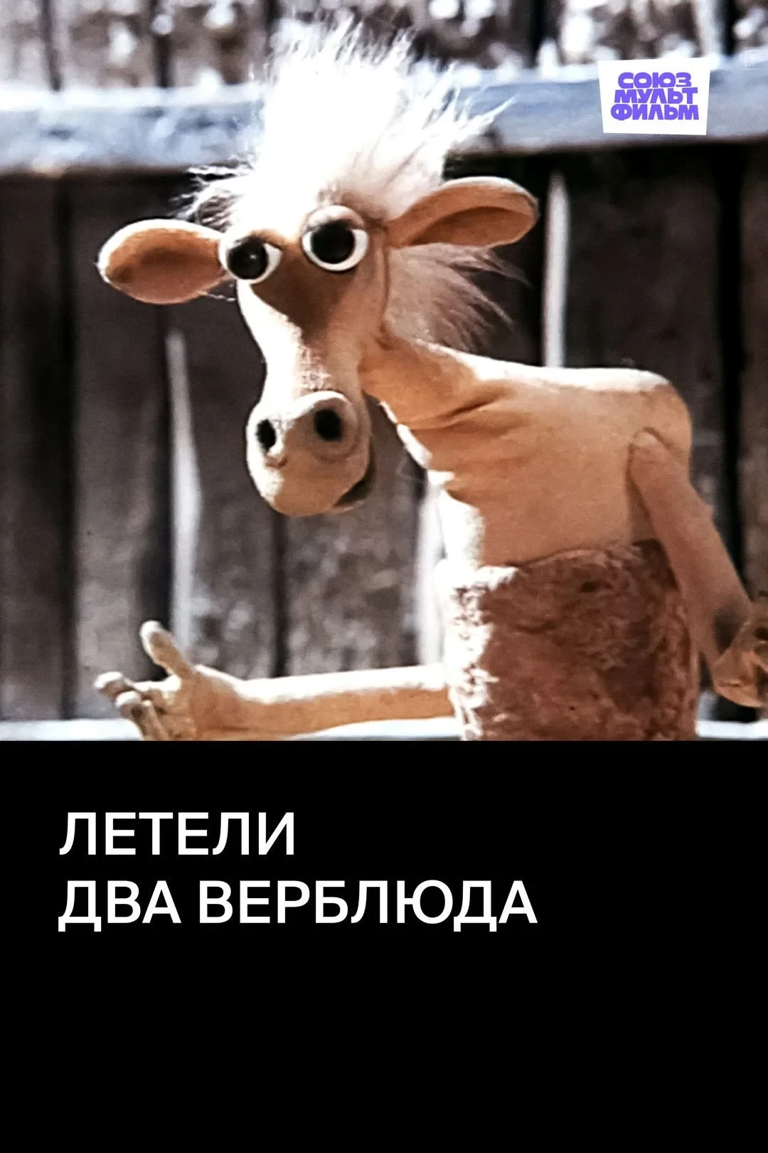 Постер фильма Летели два верблюда