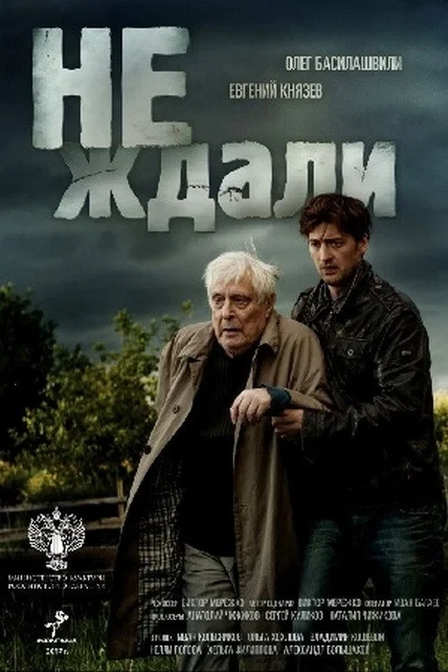 Постер фильма Не ждали