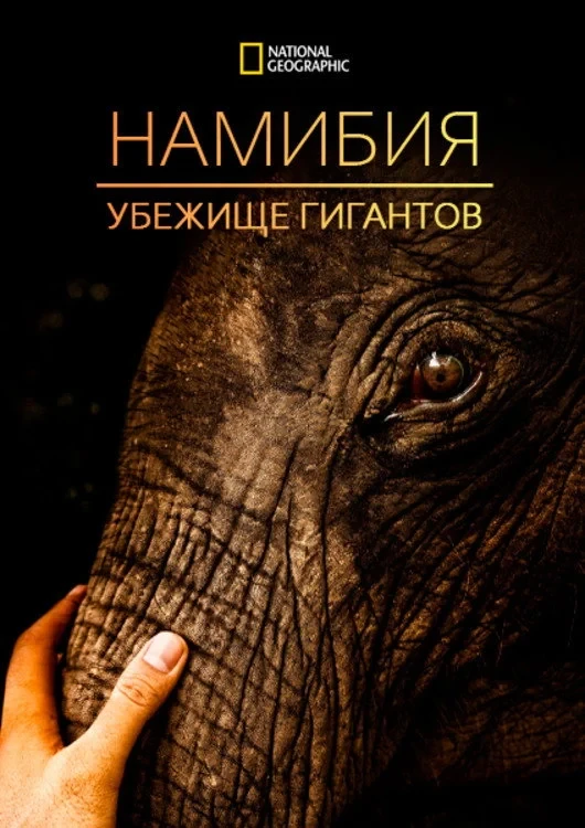 Постер фильма Намибия - убежище гигантов