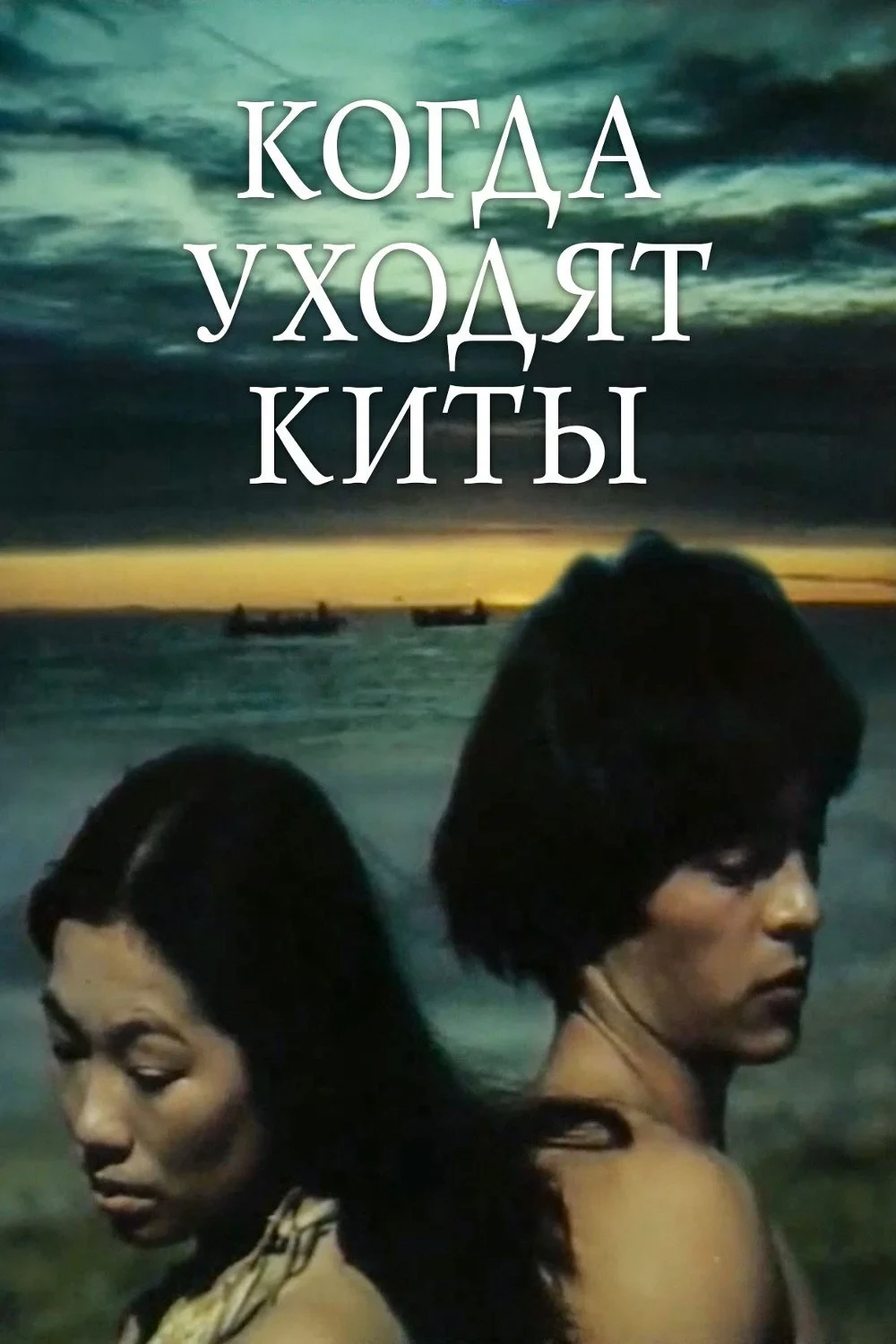 Постер фильма Когда уходят киты