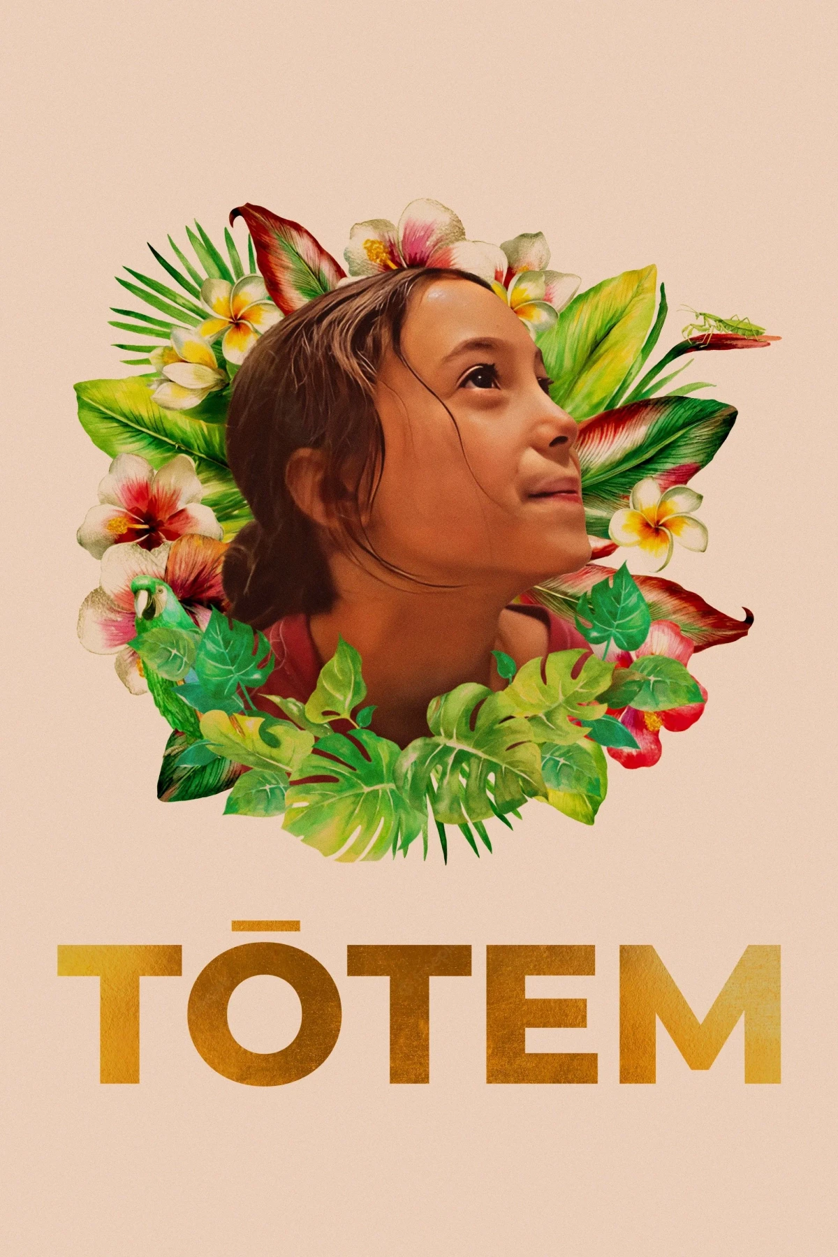 Постер фильма Тотем