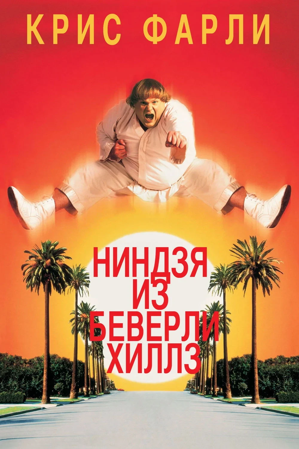 Постер фильма Ниндзя из Беверли Хиллз