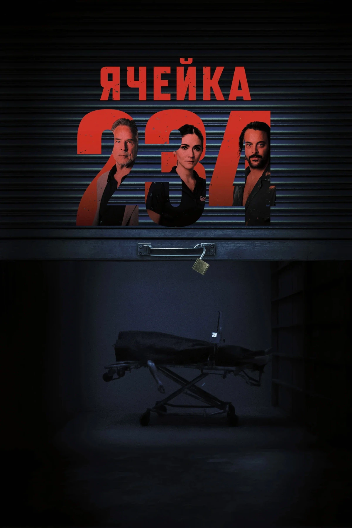 Постер фильма Ячейка 234