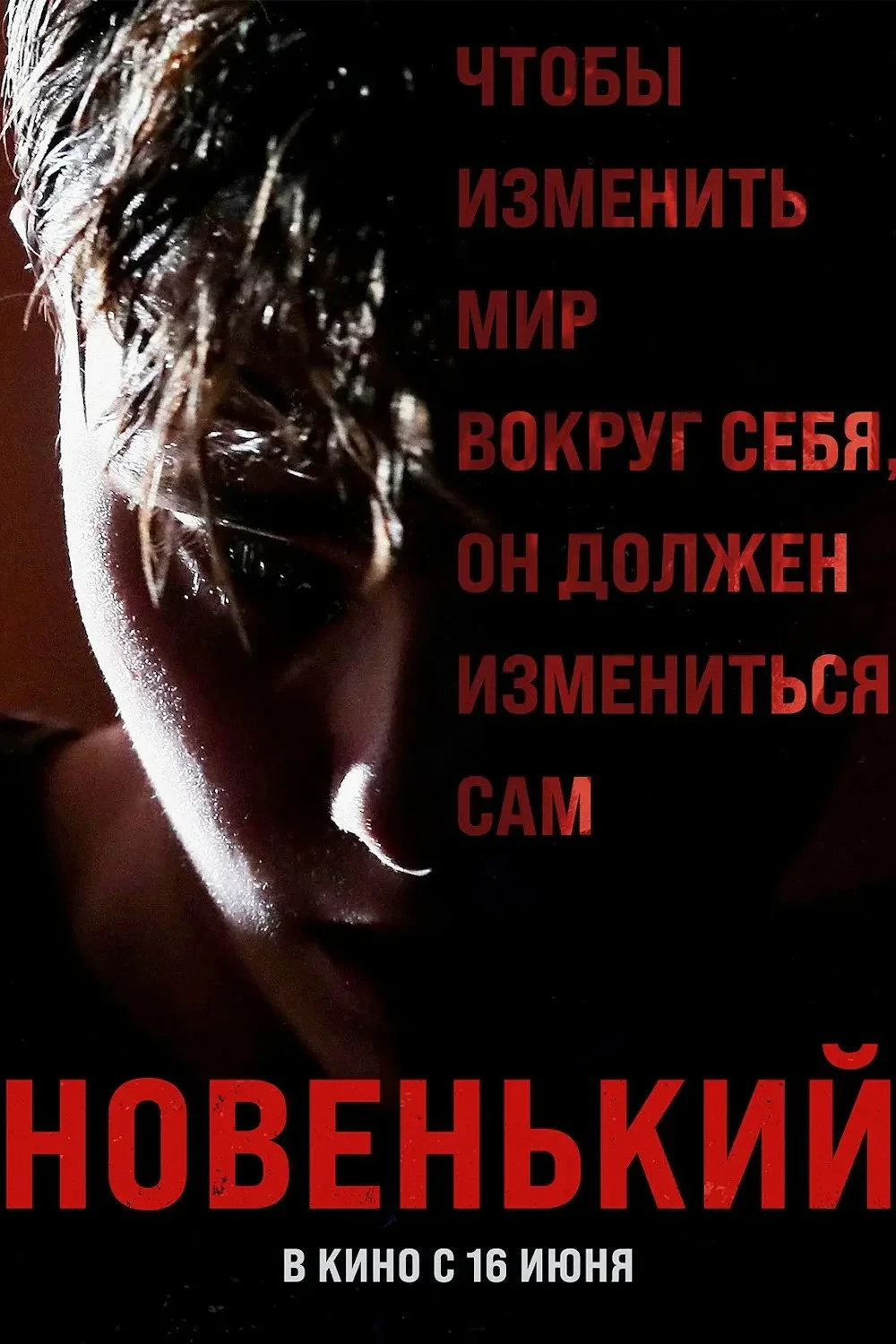 Постер фильма Новенький